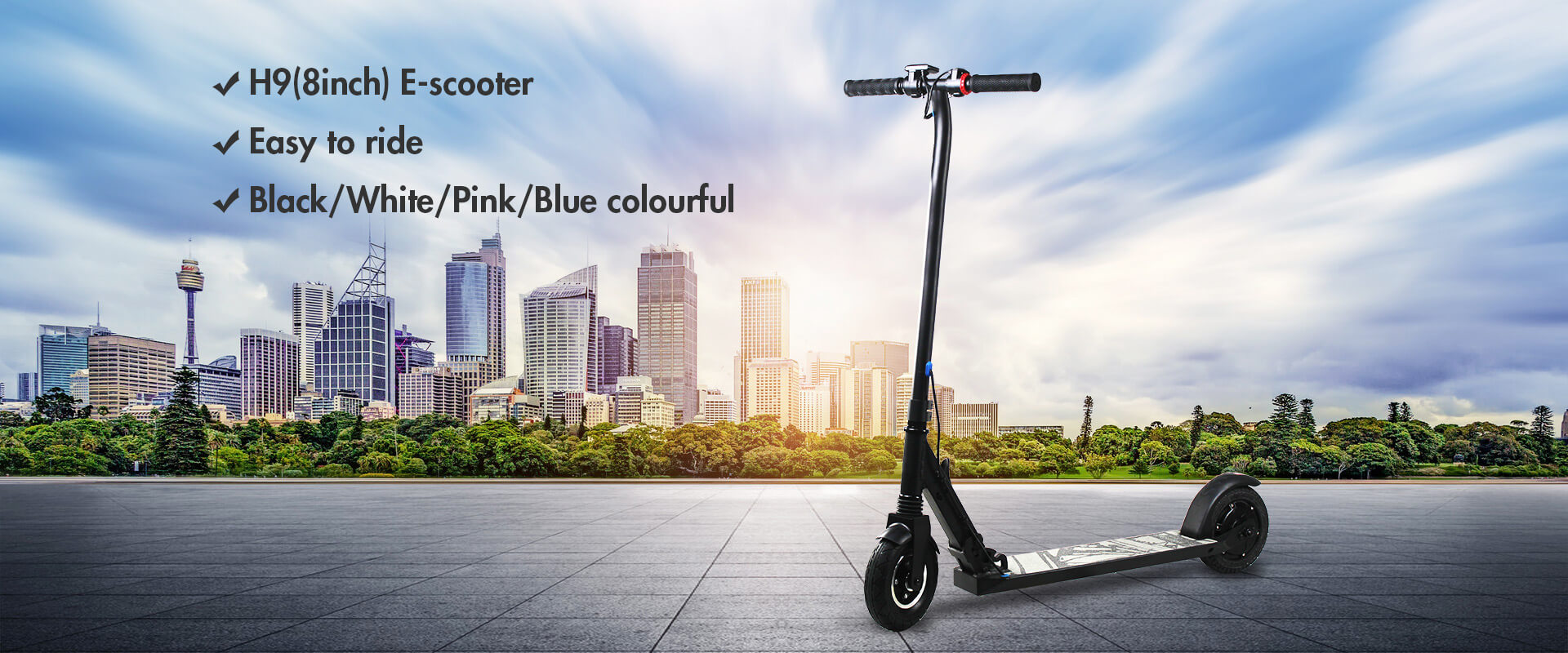 H9(8inch) E-scooter
