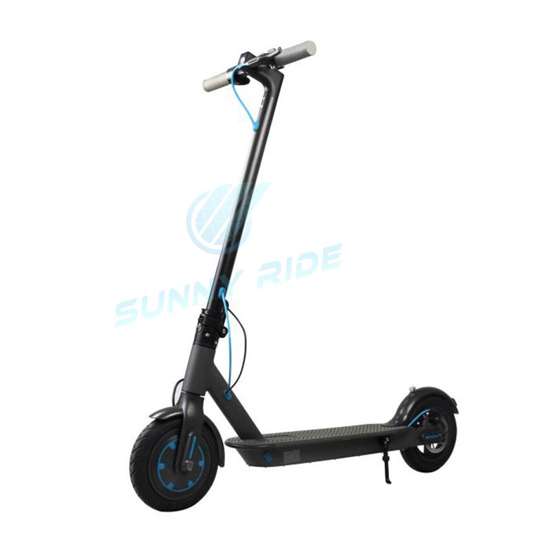 Electric Scooter H13