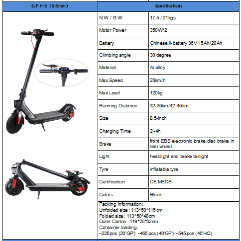 Electric Scooter H12