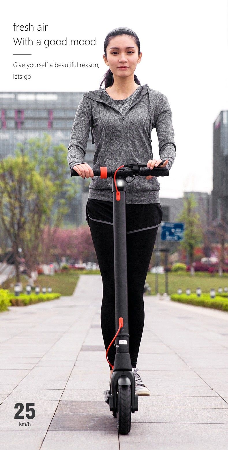 X8 Electric Stooter